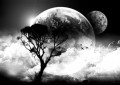 black and white clouds moon tree